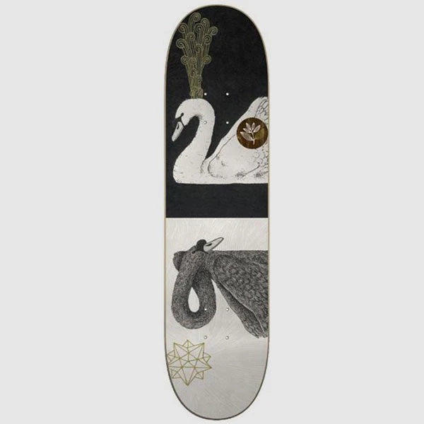 Magenta Ruben spelta swans 8.375